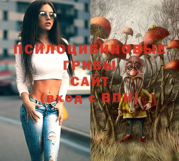 соль курить ск Верея
