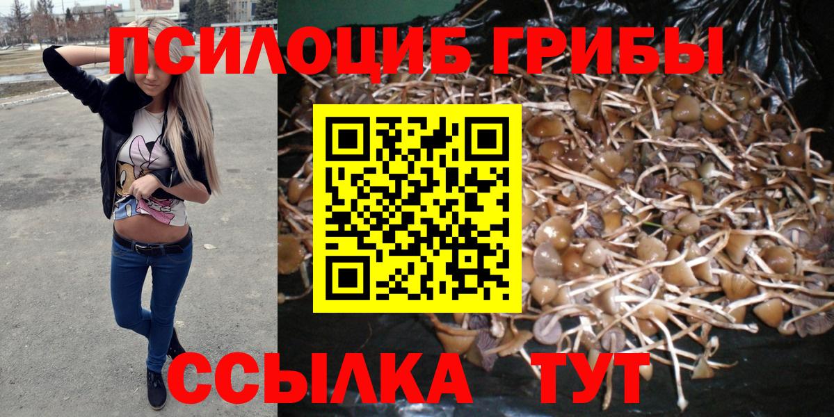Ишимбай  Псилоцибиновые грибы Magic Shrooms  Вход с VPN  Псилоцибиновые грибы Psilocybine cubensis 