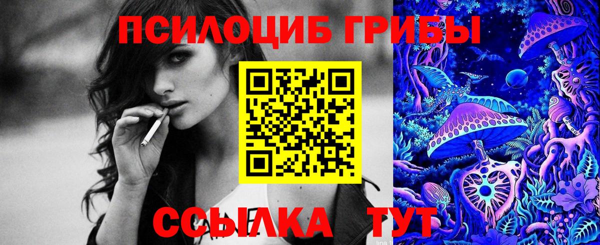 Галлюциногенные грибы Psilocybine cubensis Ишимбай